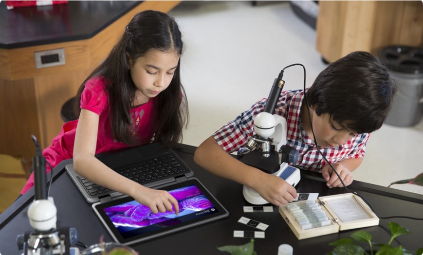 Dell представила портативные ноутбуки Latitude 11 для школьников и студентов