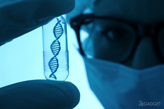Изменение пола на генном уровне - новейшие разработки ученых из США