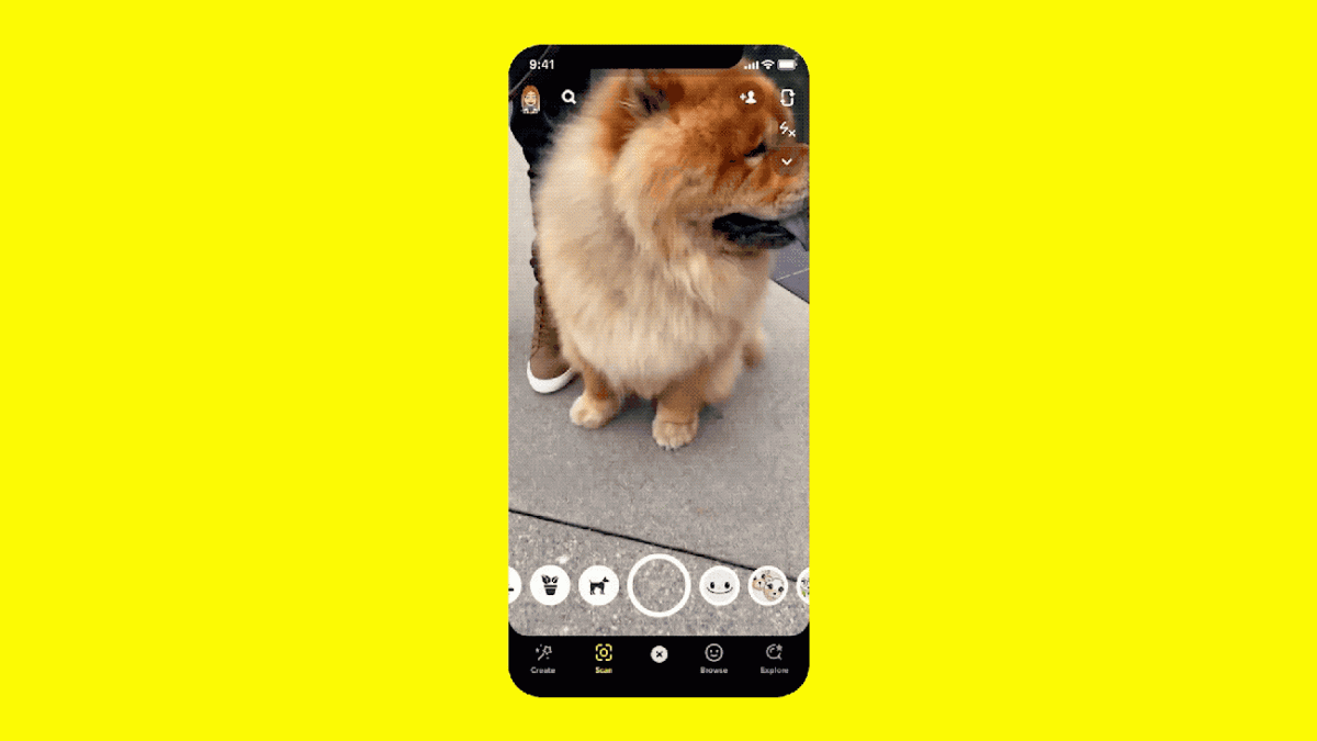 Популярное приложение Snapchat научили определять породы собак и виды растений