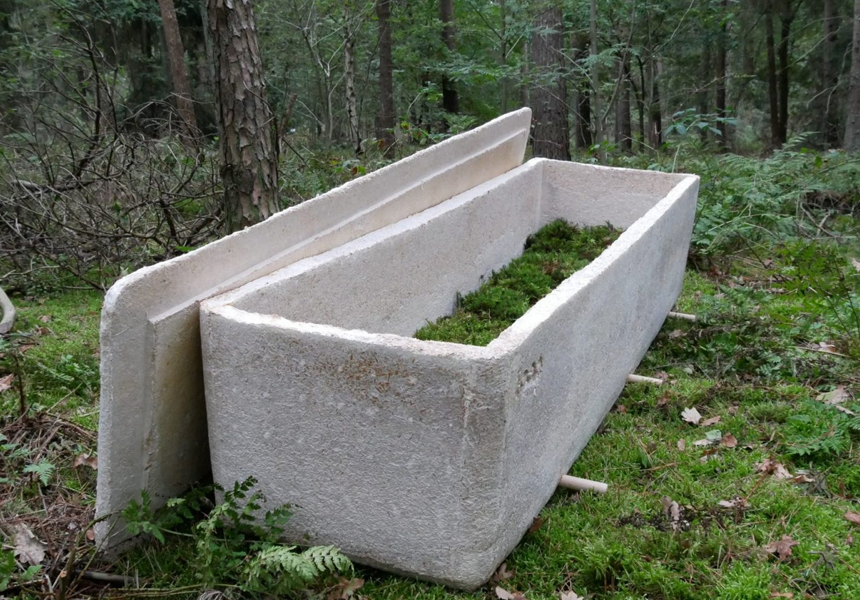 Создан гроб из грибов