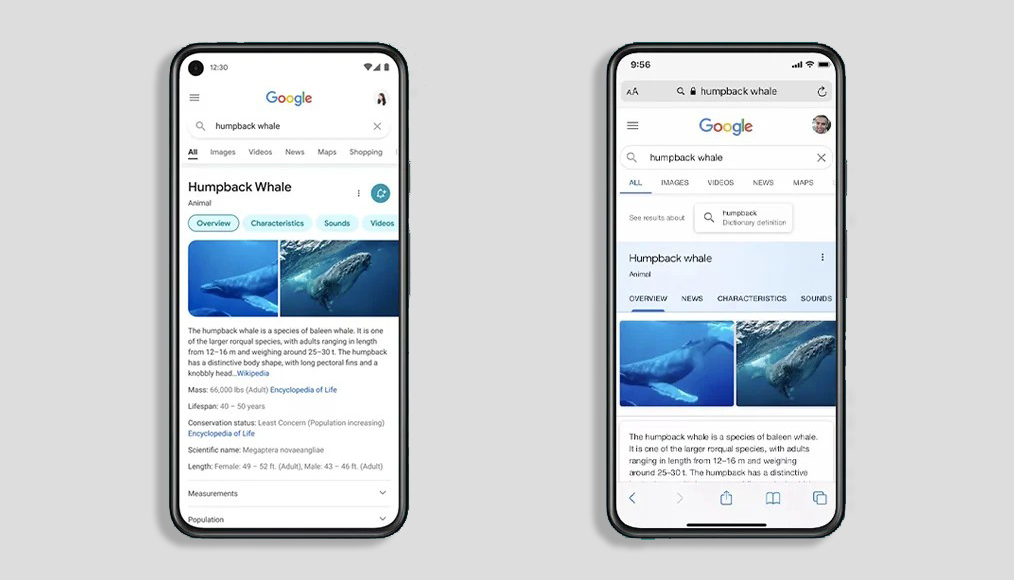 Google представила новый дизайн своего поиска для iOS и Android