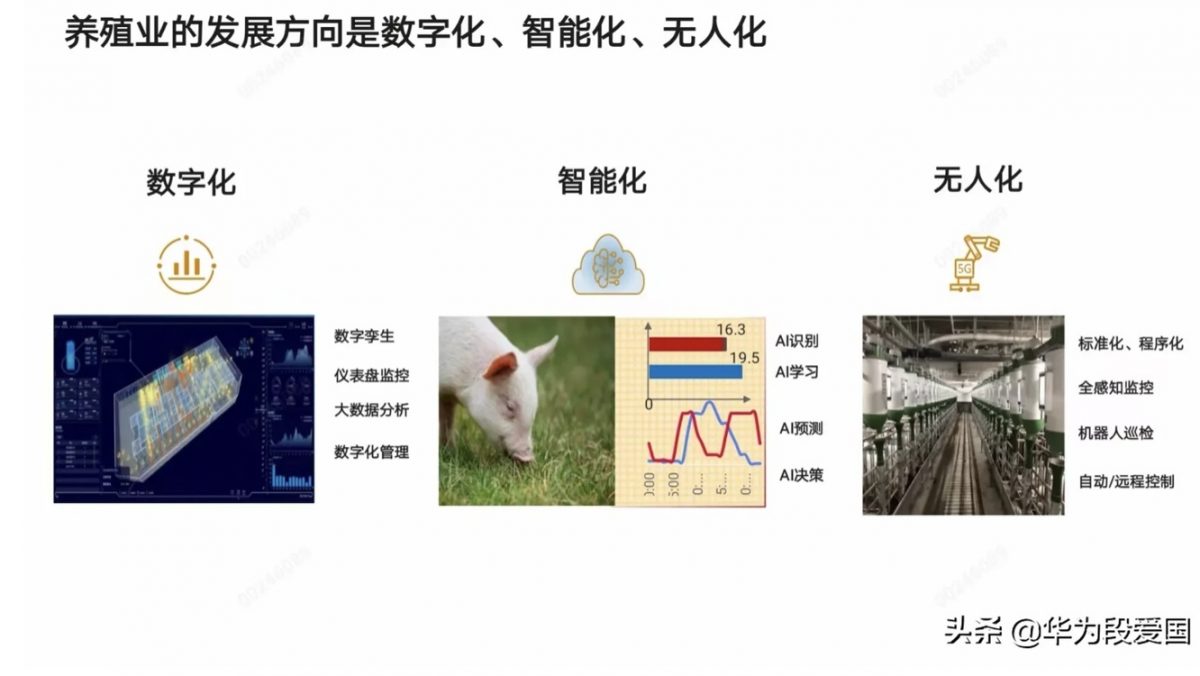 Huawei выпустит систему для выращивания свиней