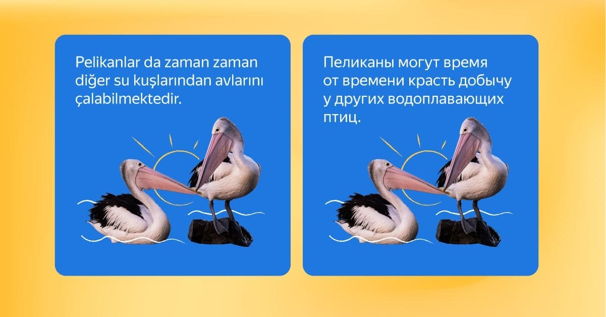 Яндекс.Браузер для Android научился переводить текст прямо на картинках