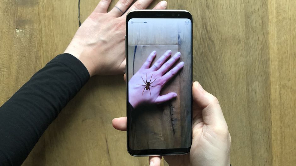 Создано мобильное приложение для лечения боязни пауков