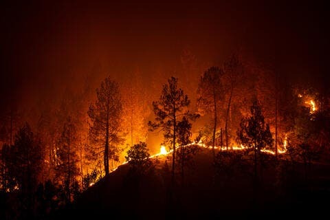 Эксперты предрекли заболевания и смерть горожан из-за микрочастиц после лесных пожаров