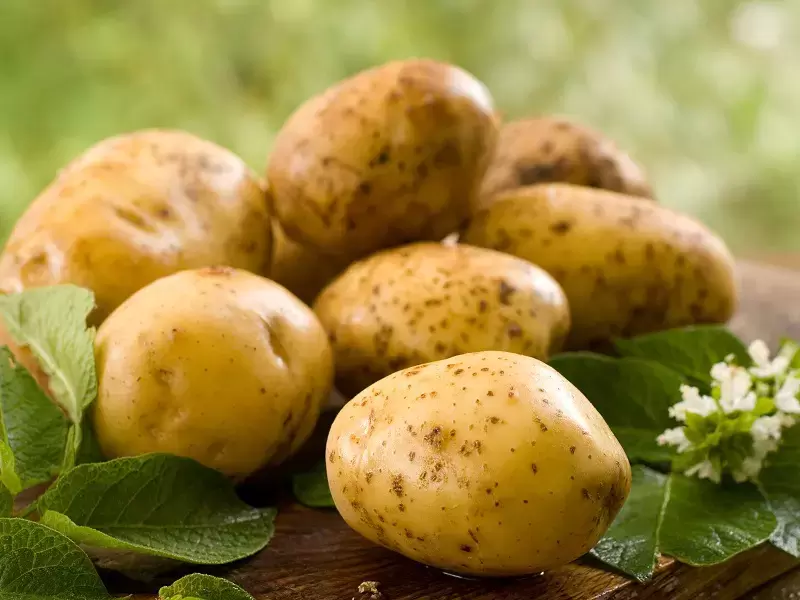 Как картофель помогает похудеть