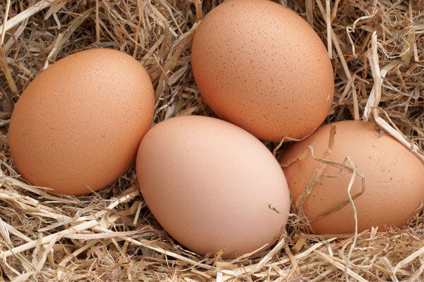 Почему яйца всмятку опасны для здоровья