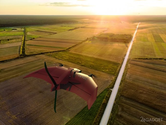 Представлен дрон Vetal с фиксированным крылом и вертикальным взлетом-посадкой (2 фото)