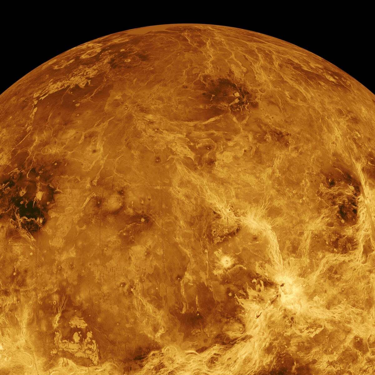 Российские учёные предположили, что на Венере есть жизнь