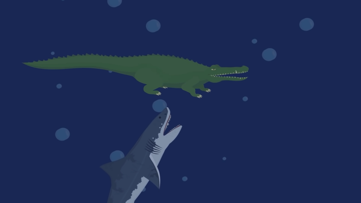 Кто победит в схватке между гигантской акулой и гигантским крокодилом