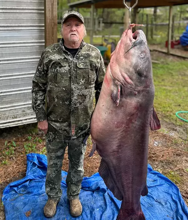 Рыбак выловил рекордного полутораметрового сома