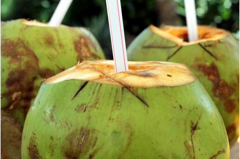 Возможно, о таком напитке вы даже не слышали, но оно точно стоит того: восемь причин пить кокосовую воду