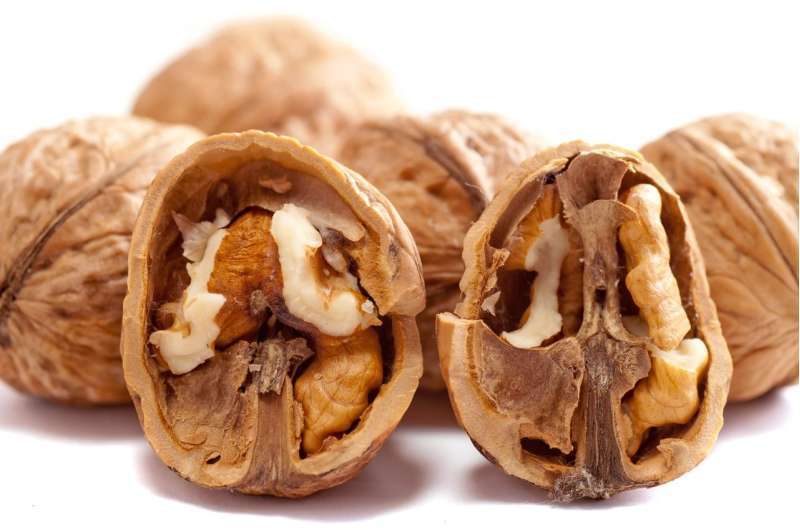 Доказано: грецкие орехи с возрастом улучшают здоровье человека