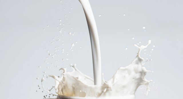 Что будет с вашим здоровьем, если вы полностью откажетесь от молока