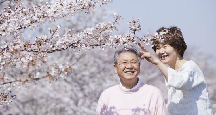 Шесть секретов долгожителей из Японии