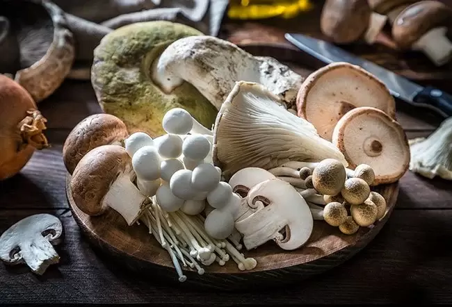 Пять причин есть грибы